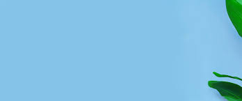 Simple Solid Color Background Simple Background Images Solid Color Backgrounds Simple Backgrounds