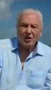 I had to press mute. If there's one person I don't want to hear swearing  it's him...