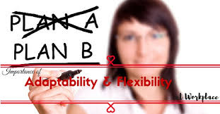 Importance Of Adaptability And Flexibility In The Workplace Wisestep