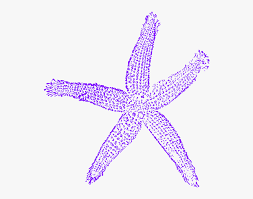 Discover more posts about purple starfish. Maehr Purple Starfish Wedding Clip Art At Clker Teal Starfish Clipart Hd Png Download Transparent Png Image Pngitem