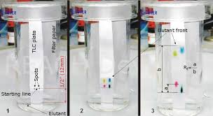 How To Set Up A Tlc Analysis Thin Layer Chromatography Tlc Paper Chromatography