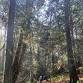 October Family Hike: Bats! event image