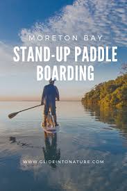 Stand Up Paddle Boarding In Moreton Bay Standup Paddle Paddle Boarding California Skiing