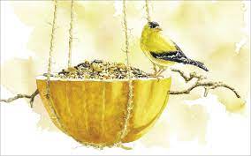Check spelling or type a new query. Make Your Own Pumpkin Bird Feeder