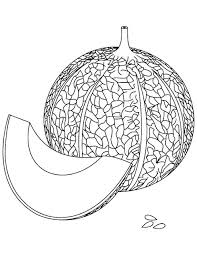 Anda bisa menggunakan semua gambar dari galeri ini untuk keperluan anda, . Gambar Mewarnai Buah Melon Fruit Coloring Pages Coloring Pages Nature Coloring Pages
