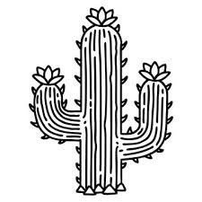 Size:the size of this temporary cactus is approximately 10 cm x 4 cm (4 inch x 1 3/5 inch). 2 176 Best Cactus Tattoo Images Stock Photos Vectors Adobe Stock