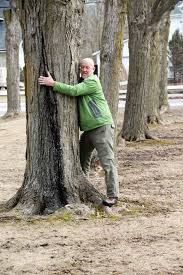 Maybe you would like to learn more about one of these? The Sugar Maple Halifax Tree Project