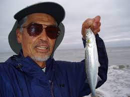 Zen Fly Fishing: Spring 2003 Surf Gallery