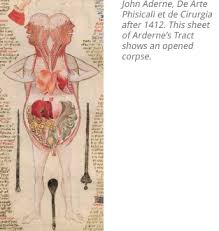 Emphasizing clinical anatomy, this atlas. The History Of Anatomy From The Beginnings To The 20th Century