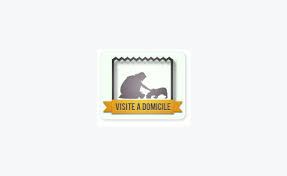 La garde nationale de votre animal, garde de chiens, garde d'animaux, pension pour chien, promenade de chien, garde de chat. Pension Pour Chats Et Garde D Animaux A Domicile Chien Guadeloupe Cyphoma