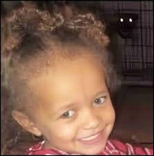 Pit bull victim Kingsley Wright, age 3, was 70th dog attack death of 2024