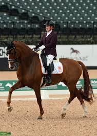 Tezzy momentz/ bokker tezzy vandaag gaat het nederlands kampioenschap dressuur echt van start; The Chronicle Of The Horse
