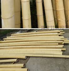 Moso Nature Bamboo Sticks and Big Bamboo Pole