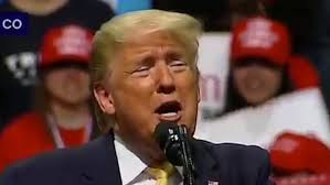 But sometimes the film, like the truly metaphorical stink bugs that we. Parasite Distributor Hits Back At Donald Trump Over Oscars Rant Metro News