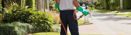 Looking for pest control companies in san antonio, tx? Accurate Pest Control San Antonio Tx Alignable