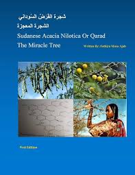 Image result for Acacia grandicornuta