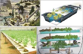 Now we're back in the clear: The Hanging Gardens Of Babylon Was Considered One Of The Seven Wonders Download Scientific Diagram