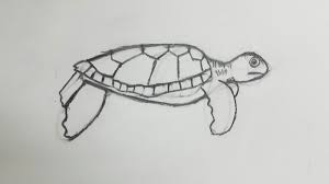 Check out inspiring examples of ocean_animals artwork on deviantart, and get inspired by our community of talented explore ocean_animals. Jerdee S Art Classes Animals In Art Zentangles Step 1 Ocean Animal Drawings