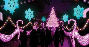 Holiday Lights Display Luminature To Open At Philadelphia Zoo