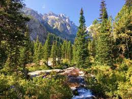 Part of the high country trail system. Guide To Hiking The Cascade Canyon Trail Grand Teton National Park