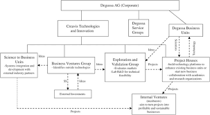 Organizational Structure And Functions Of Degussas