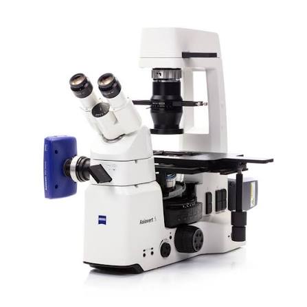 İnverted Mikroskop (Moleküler viroloji lab)