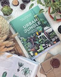 Urban Jungle как создать уютный интерьер с помощью растений Chitaj Otzyv Po Ssylke Knizhnyjblog Chtenie Literatura Knizhnyeotzyvy Knigolyub Knigi Vdohnovenie Blog Idei Ideidlyafoto Knigi Idei Dlya Foto Rasteniya