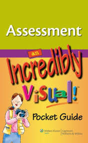 Assessment An Incredibly Visual Pocket Guide Nook Book