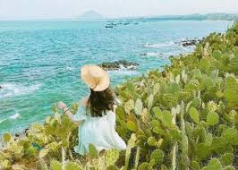 Tổng bí thư nguyễn phú trọng thăm mỹ. Du Lá»‹ch Phu Yen Ä'áº£o Ä'iá»‡p SÆ¡n 3n4Ä' Báº±ng Tau Há»a