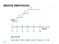 Modified Bruce Treadmill Protocol Chart New Insights On