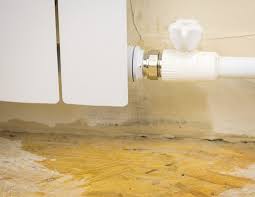 If any type of breakage occurs, or they get clogged, water will start dripping around the furnace. Club Membership Premier Heating Cooing Service Tomahawk Wi