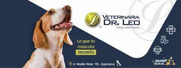 Veterinaria Dr. Leo