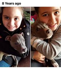 Nelly update 🐾 ❤️‍🩹