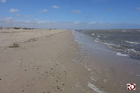 Aber auch hier gilt die anleinpflicht am strand und meer für ihren vierbeiner. Hundestrand Schillig Hundestrand Verzeichnis