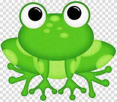Drawing Frog Cartoon Internet Meme Toad Royaltyfree Transparent Background Png Clipart Hiclipart The rainbow frog is divided into several. drawing frog cartoon internet meme toad