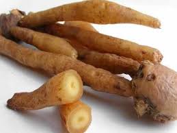 We did not find results for: Temu Kunci Sembuhkan Sariawan