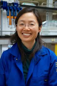 The Primordial Fuse is Lit