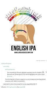 English Ipa Tumblr Funny Words Word Nerd