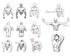 'observational anatomy' torso reference from blank space's anatomy drink and draw workshop, 22/4/2014. 280 Character Anatomy Torso Ideas In 2021 Anatomy Character Design Anatomy Reference