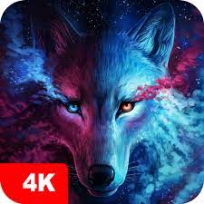 Windows 11 wallpapers hd 4k free download. Wolf Wallpapers 4k Hd Backgrounds Apps Amazon De Apps Spiele
