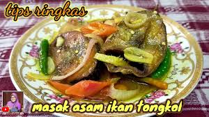 Dibakar di teflon, ikan bakar ini tetap memiliki rasa yang super nikmat lho. Tips Ringkas Masak Asam Ikan Tongkol Moktihchannel Video Analysis Report