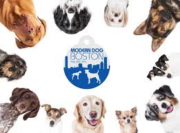 View location, address, reviews and opening hours. Modern Dog Boston Wag Play Love