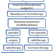 If you've received a diagnosis, here are some things you need to know about the condition. Pdf Inflammatory Breast Cancer A Literature Review