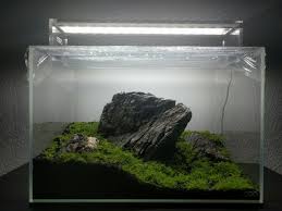 The art embraces the theory of purity and adapts the relevance of spirituality. Ada 45p Iwagumi Mein Erstes Aquascape Aquarienvorstellung Aquascaping Forum