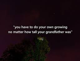 You Have To Do Your Own Growing No Matter How Tall Your Grandfather Was Nelson Millardspeaks Insperational Quotes Pretty Words Inspirational Quotes