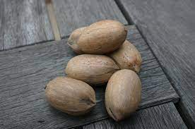 Pecan Trees Good Zinc Application Walter Reeves The Georgia Gardener