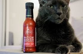 Widow Maker Hot Sauce (by Dingo Sauce Co.) Review - Pepper Geek