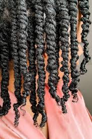How to flat twist natural hair. Best Two Strand Twists Products For Definition Curly Girl Swag