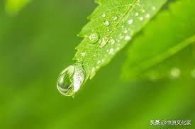 滿 待 你我共一碗 沿街叫賣 英雄膽 而 夢醒摔酒盞 穀雨 倒了春寒 三看 手摘芳煙艾草繁 偏煮花消瘦 未見芍藥有完滿 四看 穀雨茶沸客人懶 眼饞他年豐 挑來. 6 Dig7i03rpkam