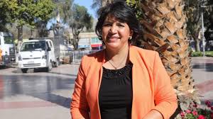 .la senadora yasna provoste campillay (dc) se convirtió en la nueva líder de la corporación. La Dc Esperara Las Primarias Para Definir Candidatura De Yasna Provoste